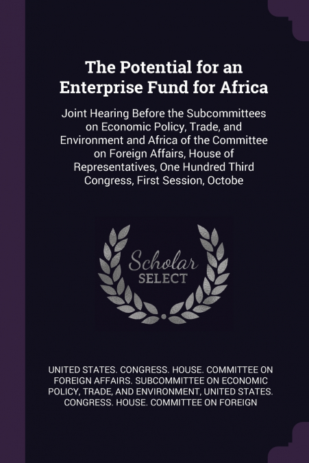 The Potential for an Enterprise Fund for Africa