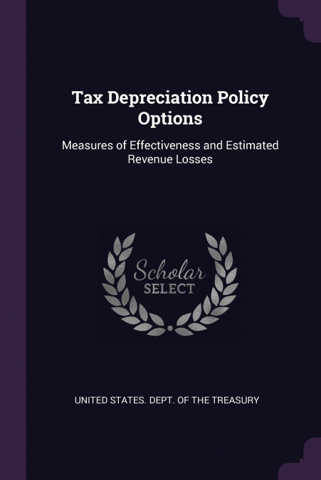 Tax Depreciation Policy Options