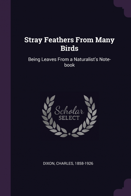 Stray Feathers From Many Birds