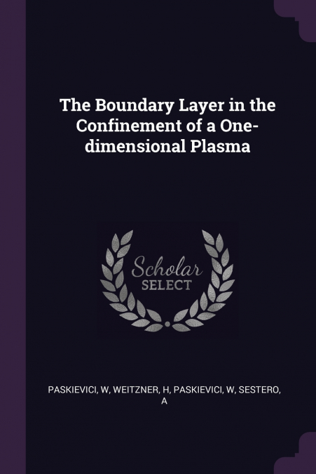 The Boundary Layer in the Confinement of a One-dimensional Plasma