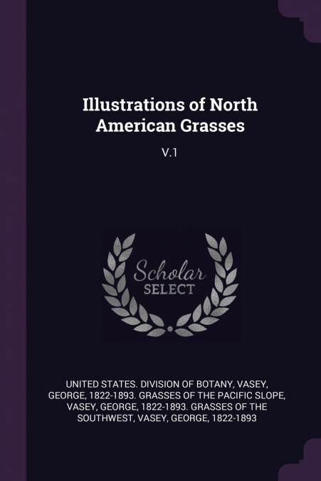 Illustrations of North American Grasses