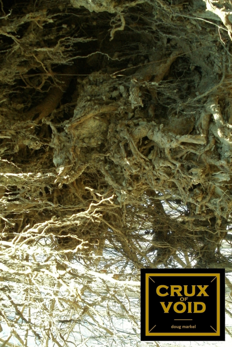 crux of void