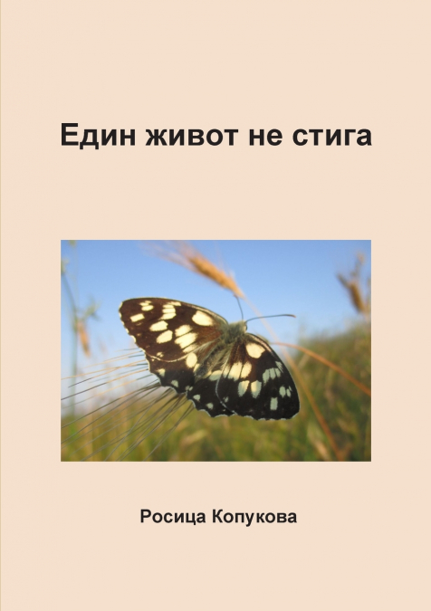 Един живот не стига