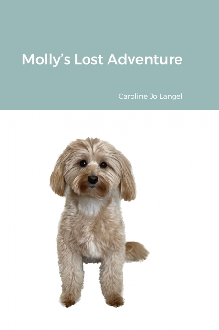 Molly’s Lost Adventure