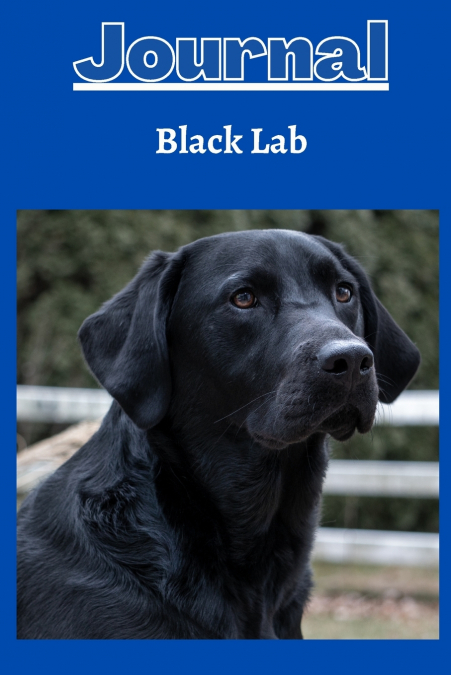 Black lab dog Journal series 1 with a cobalt blue  background