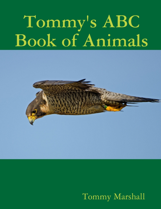 Tommy’s ABC Book of Animals