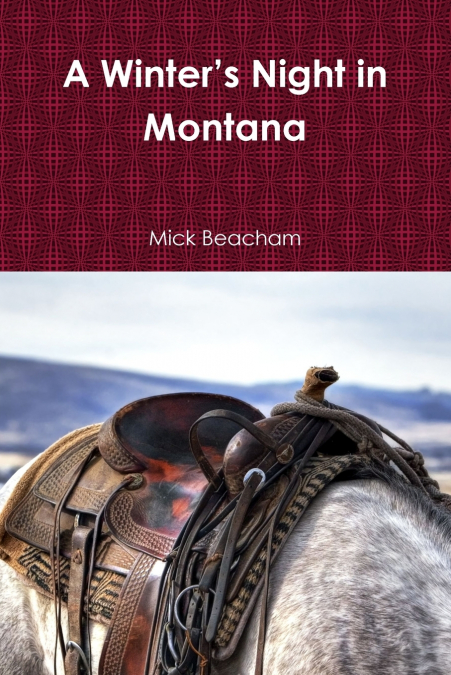 A Winter’s Night in Montana