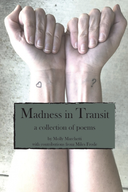 Madness in Transit