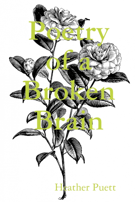 Poetry of a Broken Brain