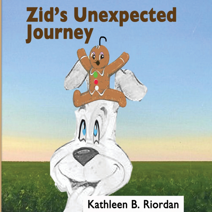 ZID’S UNEXPECTED JOURNEY