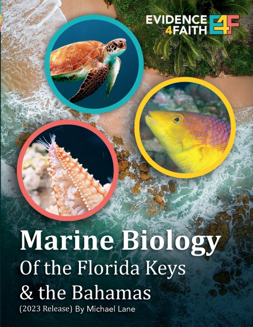 Marine Biology of the Florida Keys & the Bahamas
