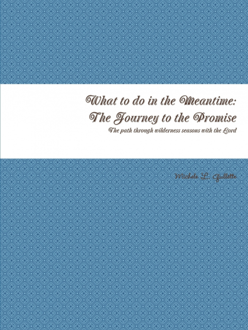 What to do in the Meantime