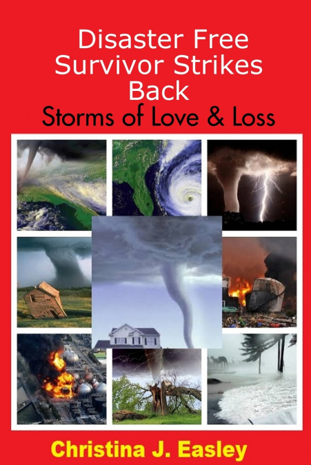 Disaster Free Survivor Strikes Back