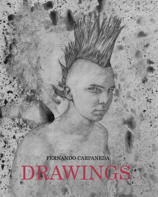 Fernando Carpaneda 'Drawings'