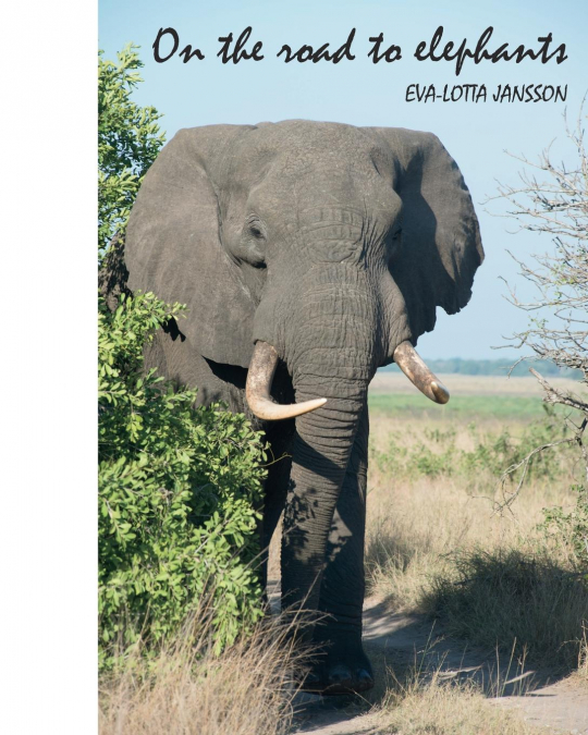 On the road to elephants