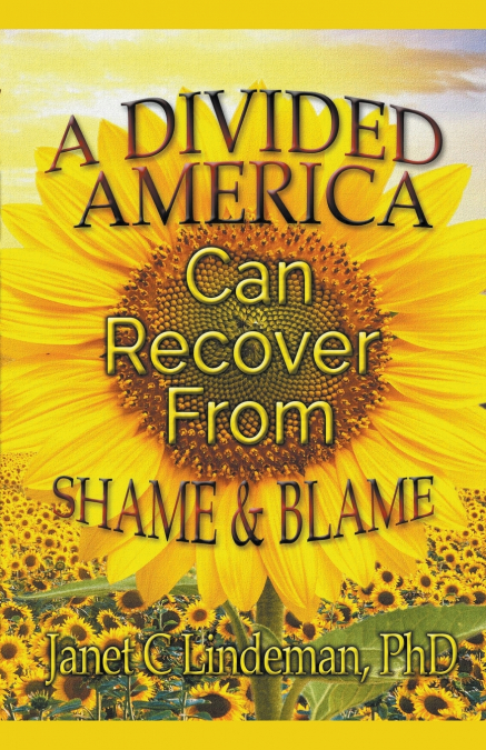 A Divided America Can Recover From Shame & Blame