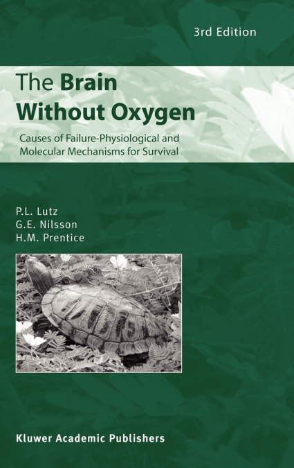 The Brain Without Oxygen