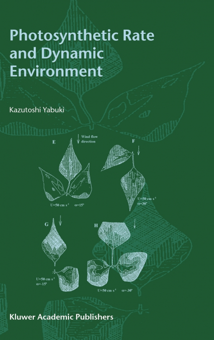 Photosynthetic Rate and Dynamic Environment