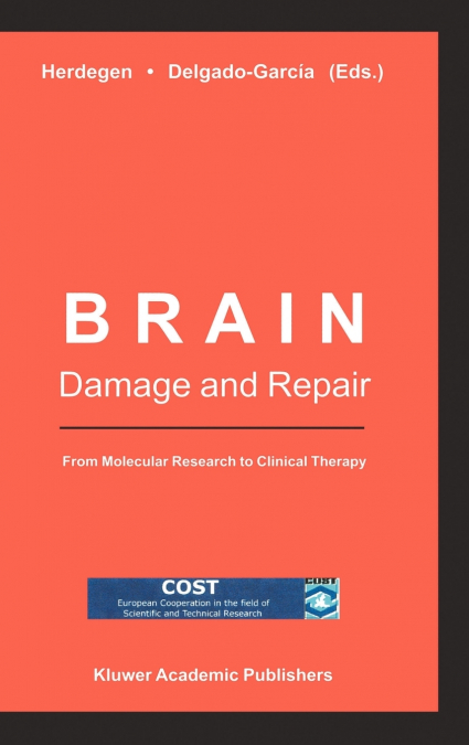 Brain Damage and Repair