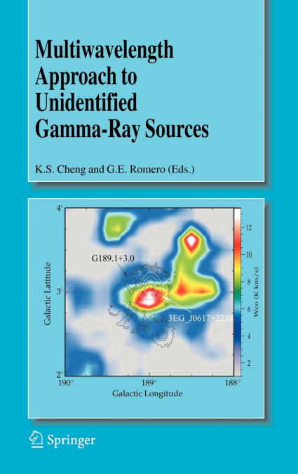 Multiwavelength Approach to Unidentified Gamma-Ray Sources