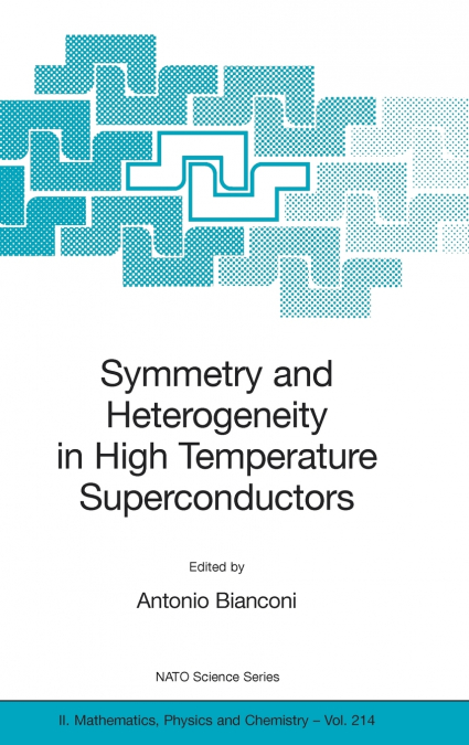 Symmetry and Heterogeneity in High Temperature Superconductors