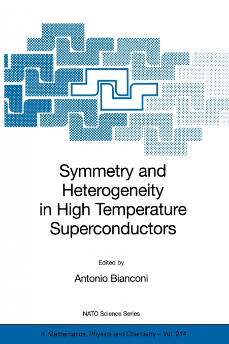 Symmetry and Heterogeneity in High Temperature Superconductors