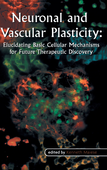 Neuronal and Vascular Plasticity