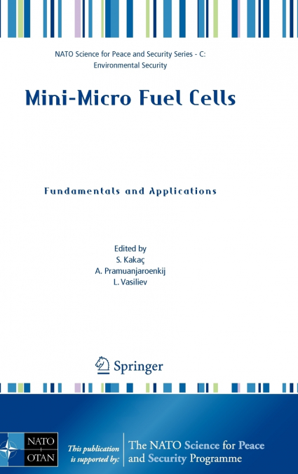 Mini-Micro Fuel Cells