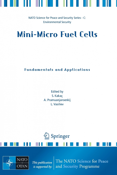 Mini-Micro Fuel Cells