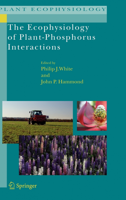 The Ecophysiology of Plant-Phosphorus Interactions