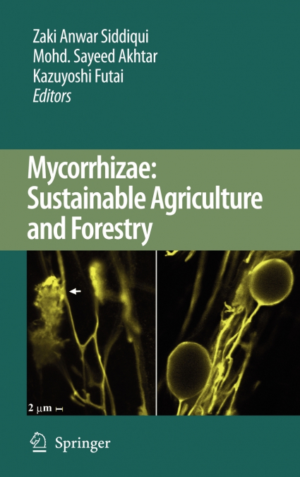 Mycorrhizae