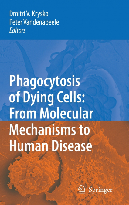 Phagocytosis of Dying Cells
