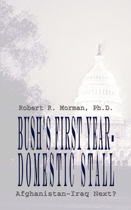 Bush’s First Year-Domestic Stall