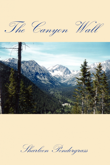 The Canyon Wall