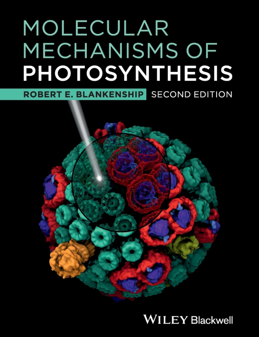 Molecular Mechanisms Photosynt