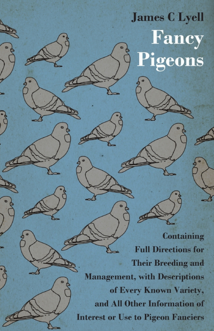 Fancy Pigeons