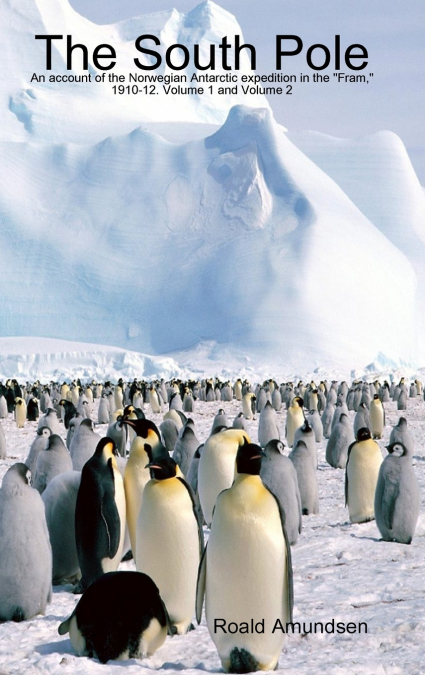 The South Pole