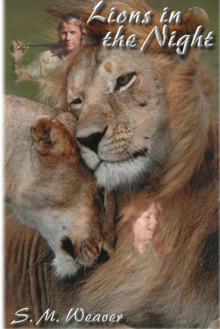 Lions In The Night