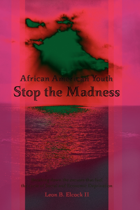 African American Youth - Stop the Madness