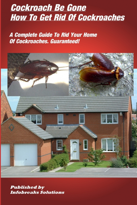 How To Get Rid Of Cockroaches