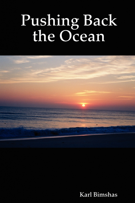 Pushing Back the Ocean