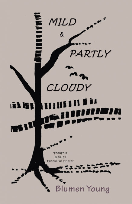 Mild and Partly Cloudy