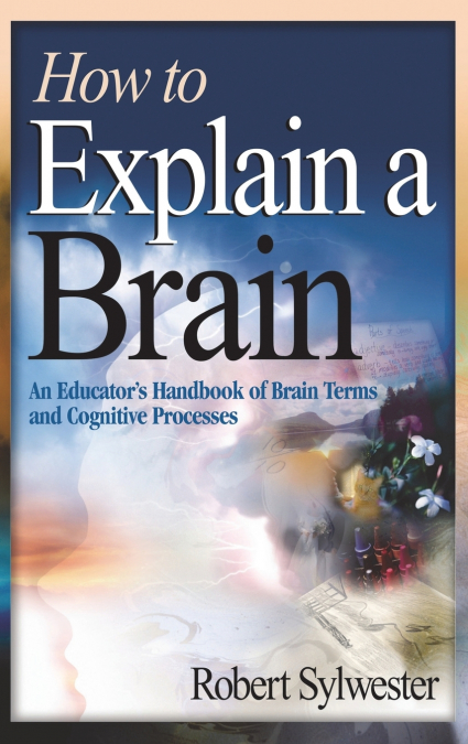 How to Explain a Brain