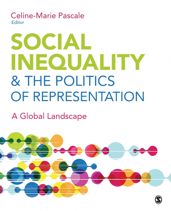 Social Inequality & The Politics of Representation