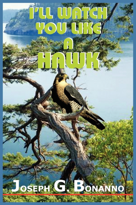 I’LL WATCH YOU LIKE A HAWK