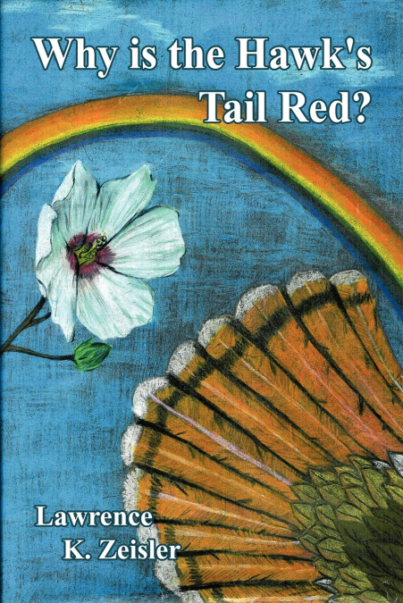 Why is the Hawk’s Tail Red?