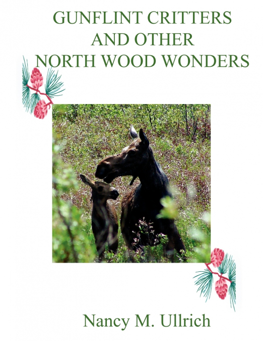 GUNFLINT CRITTERS AND OTHER NORTH WOOD WONDERS