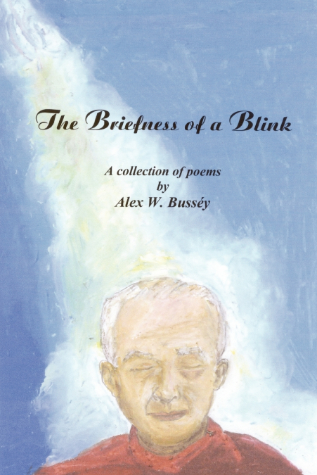 The Briefness of a Blink