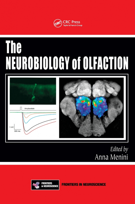 The Neurobiology of Olfaction