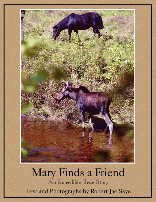 Mary Finds a Friend
